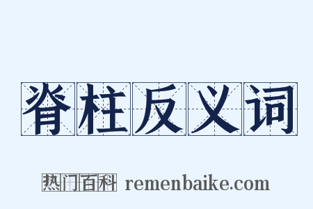 脊柱反义词是什么意思的图片
